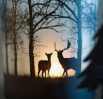 Screenshot 2025-11-24 21.35.33