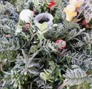 Screenshot 2025-11-24 21.36.13